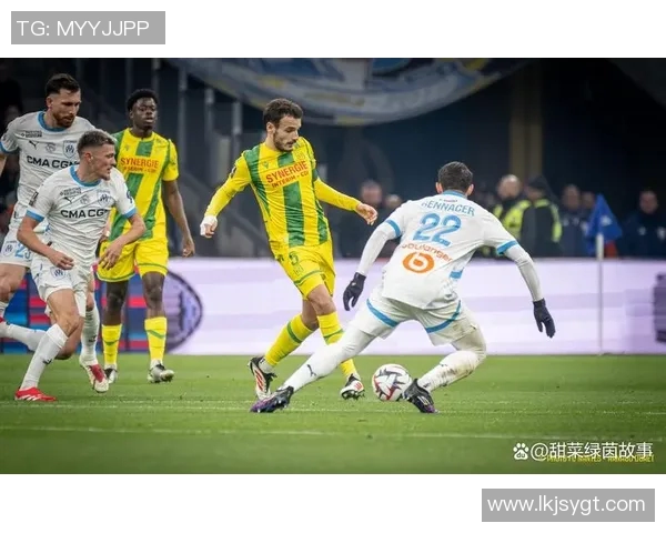 南特对阵里尔精彩视频直播全程回顾与赛后分析 南特对阵里尔精彩视频直播全程回顾与赛后分析