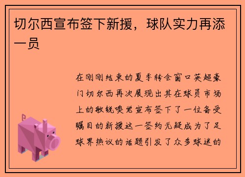 切尔西宣布签下新援，球队实力再添一员