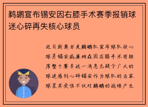 鹈鹕宣布锡安因右膝手术赛季报销球迷心碎再失核心球员