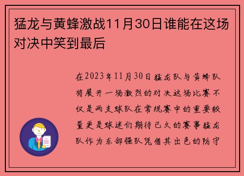 猛龙与黄蜂激战11月30日谁能在这场对决中笑到最后