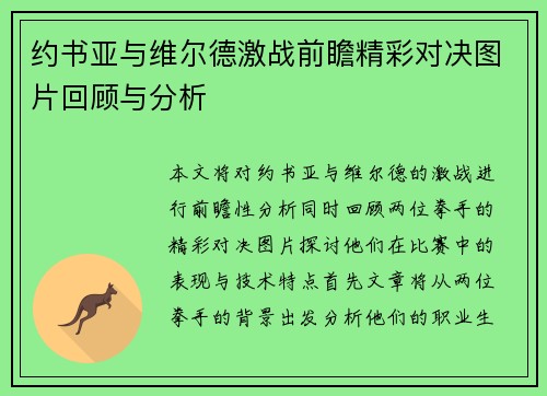 约书亚与维尔德激战前瞻精彩对决图片回顾与分析