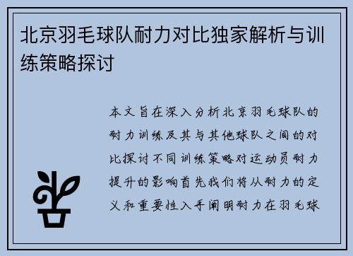 北京羽毛球队耐力对比独家解析与训练策略探讨