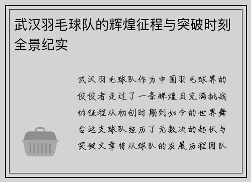 武汉羽毛球队的辉煌征程与突破时刻全景纪实