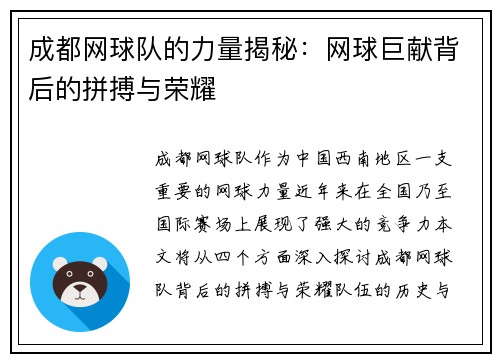 成都网球队的力量揭秘：网球巨献背后的拼搏与荣耀