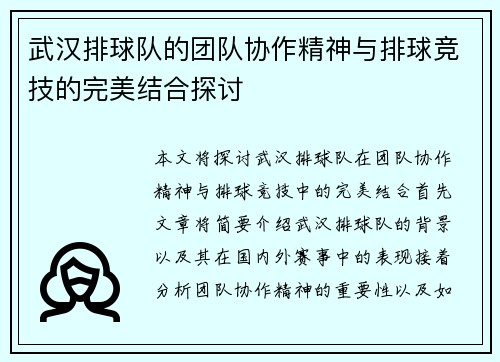 武汉排球队的团队协作精神与排球竞技的完美结合探讨